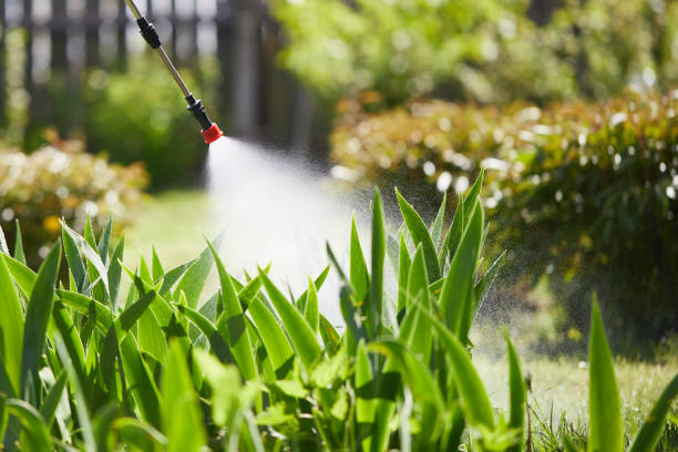 24/7 Emergency Wasp Removal experts in Adrian, MN